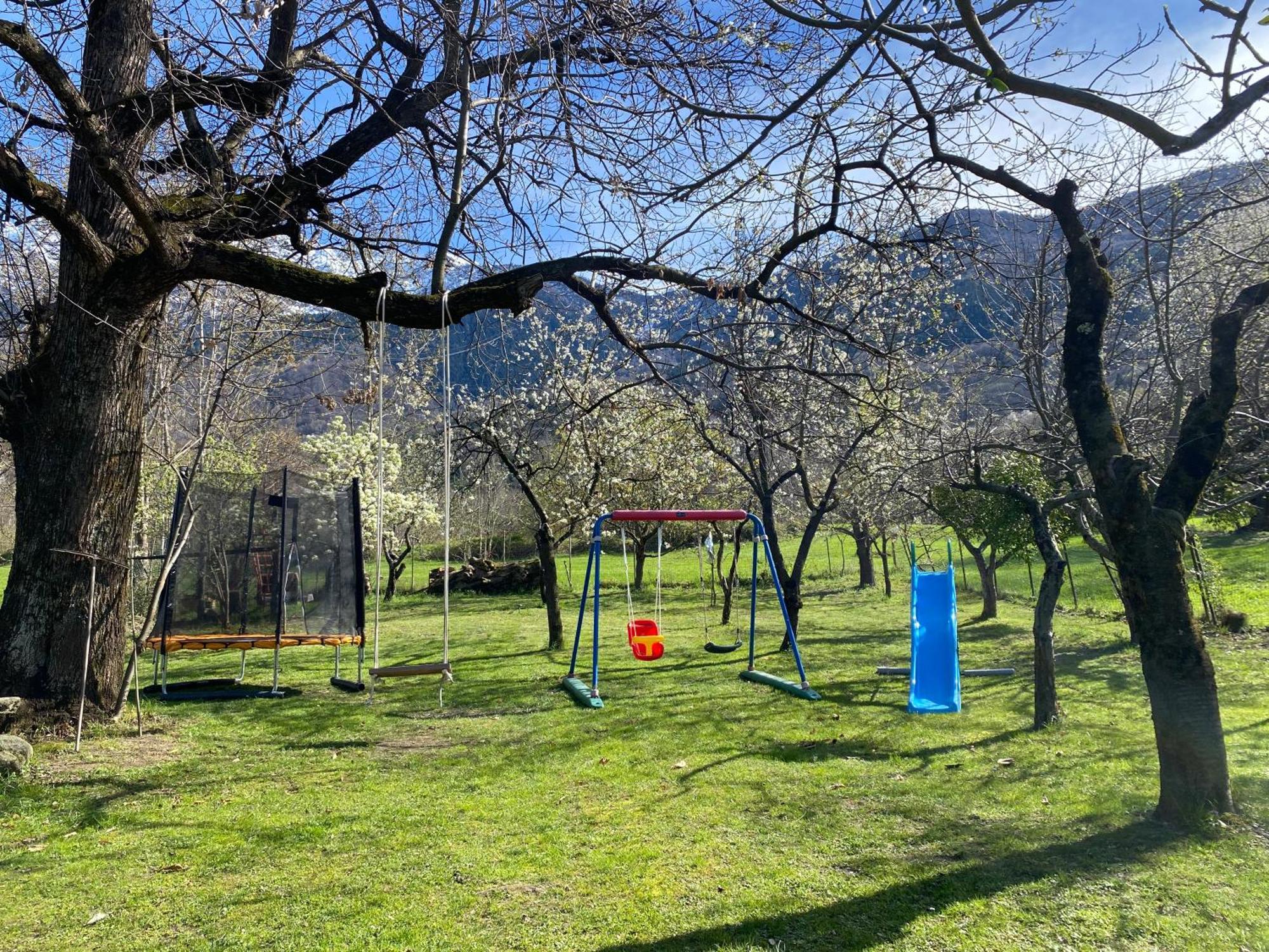 Tenuta Pozzi 科利科 外观 照片